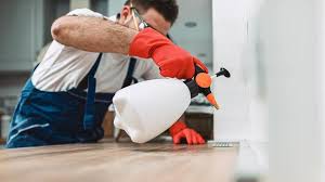 Emergency Pest Control Services in Marine City, MI